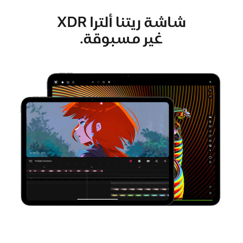iPad Pro M4 13-inch 256GB